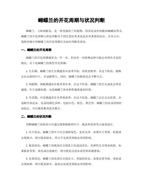 蝴蝶兰的开花周期与状况判断