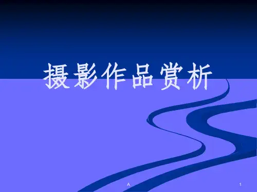 摄影作品赏析