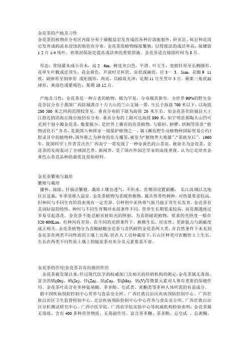 金花茶的产地及习性