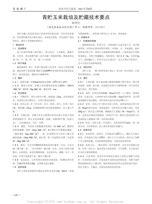 青贮玉米栽培及贮藏技术要点