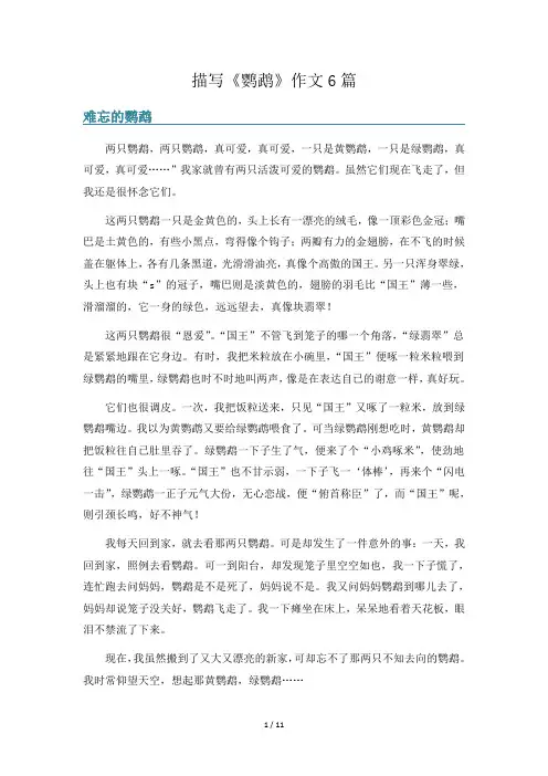 描写《鹦鹉》作文6篇