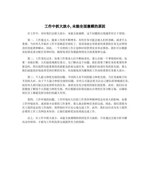 工作中抓大放小,未能全面兼顾的原因