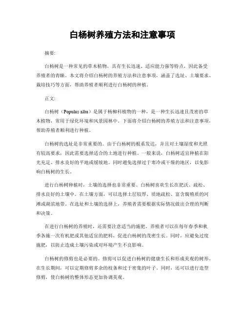 白杨树养殖方法和注意事项