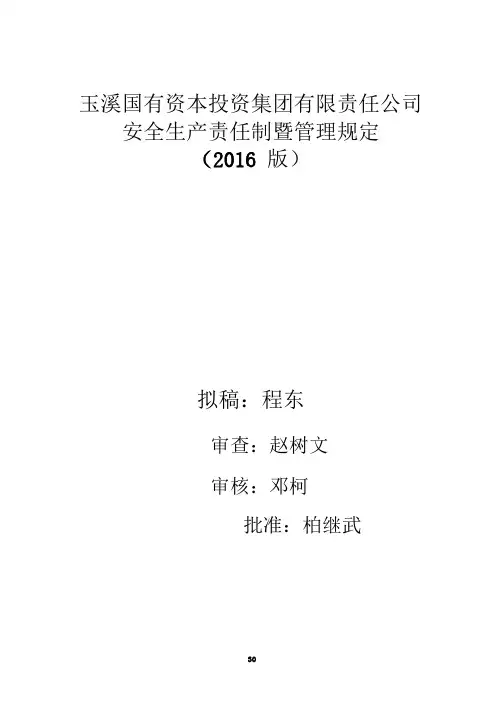 投资集团有限责任公司安全生产规定