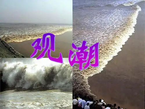 人教版语文四年级上册观潮精PPT课件