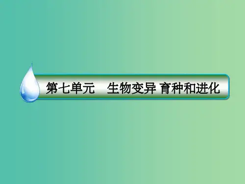 高考生物一轮复习 第七单元 生物变异 育种和进化 第23讲 染色体变异与育种课件