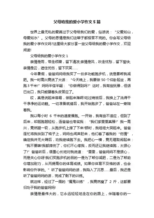 父母给我的爱小学作文5篇