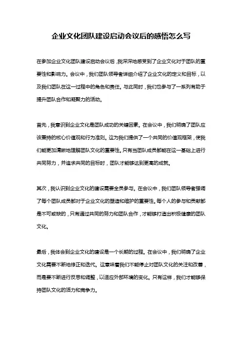 企业文化团队建设启动会议后的感悟怎么写