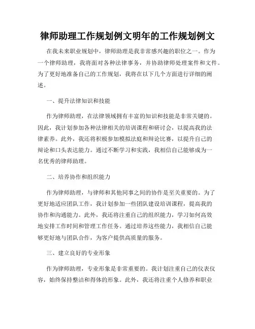 律师助理工作规划例文明年的工作规划例文