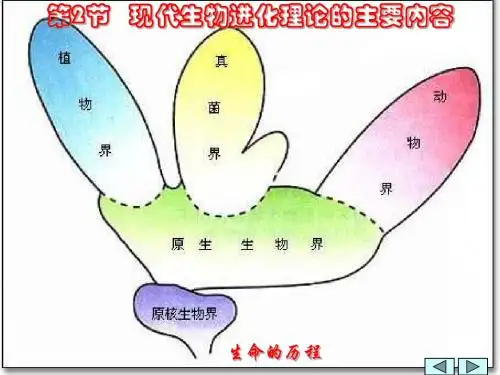 高一生物现代生物进化理论的主要内容