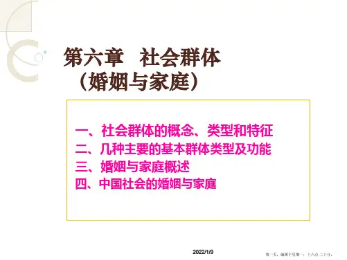 社会学 第6章 社会群体