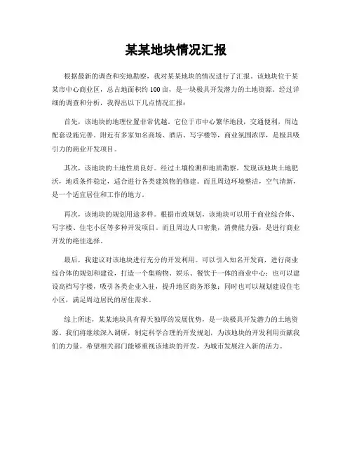 某某地块情况汇报