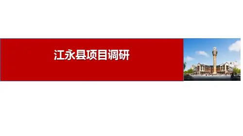江永县项目市场调研