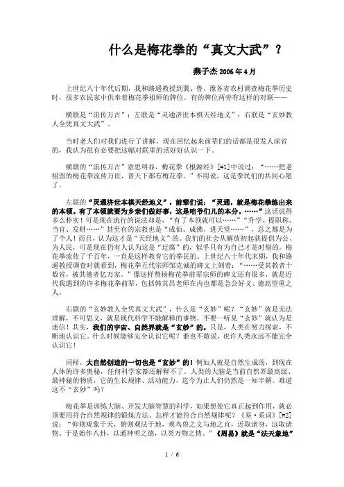 什么是梅花拳的“真文大武”