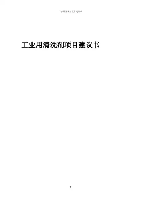 2024年工业用清洗剂项目建议书