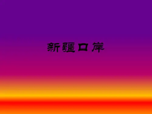 新疆口岸