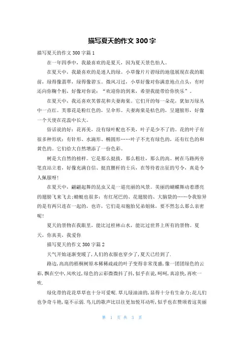 描写夏天的作文300字