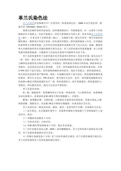 革兰氏染色