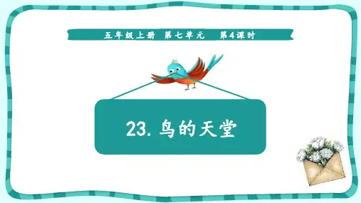 23鸟的天堂课件(共25张PPT)