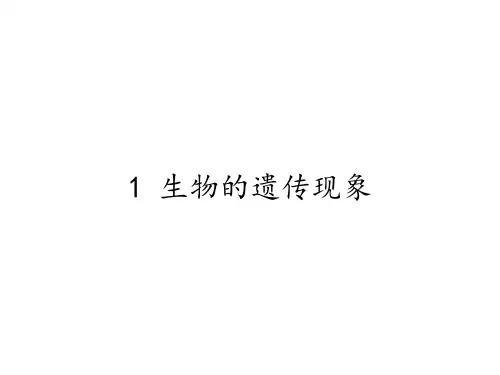 六年级科学下册优秀ppt_生物的遗传现象3苏教版ppt(22张)精品课件