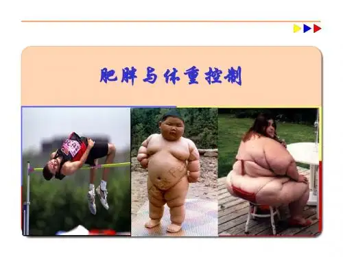 体育与健康——肥胖