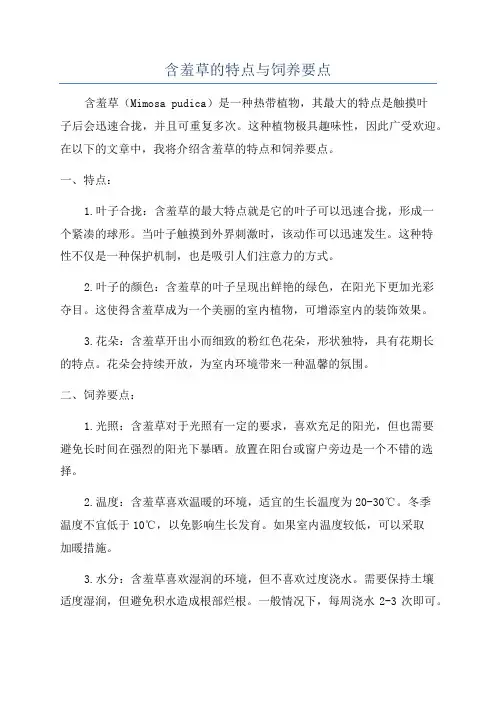 含羞草的特点与饲养要点