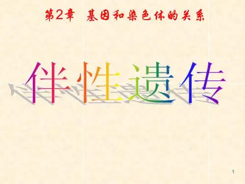 《伴性遗传》公开课用ppt课件