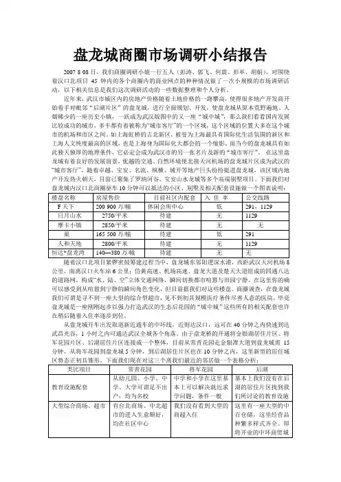盘龙城商圈市场调研小结报告