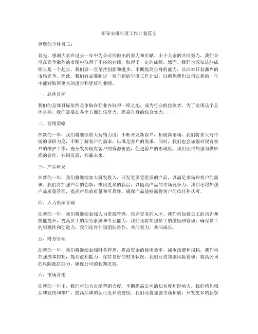 领导安排年度工作计划范文