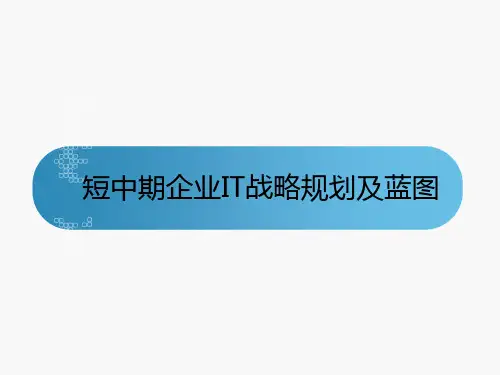 短中期企业IT战略规划及蓝图