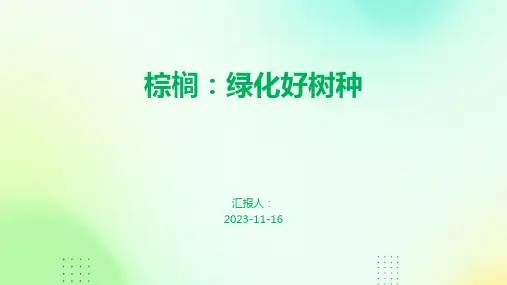 棕榈：绿化好树种
