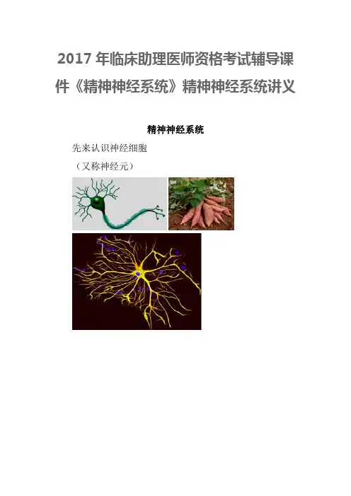 2017年临床助理医师资格考试辅导课件精神神经系统精神神经系统讲义