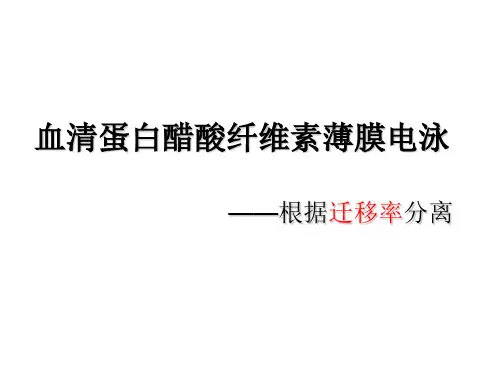 醋酸纤维素薄膜电泳