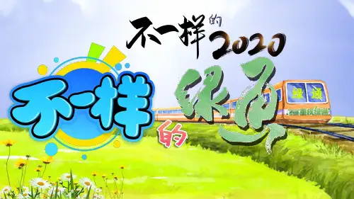 泰康人寿不一样的2020不一样的绿通22页