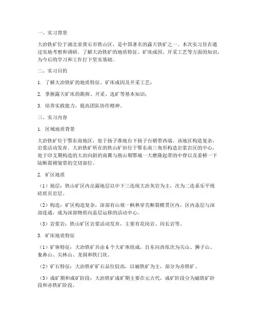 大冶铁矿矿床实习报告