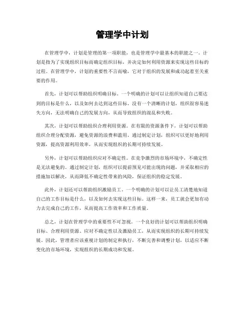 管理学中计划