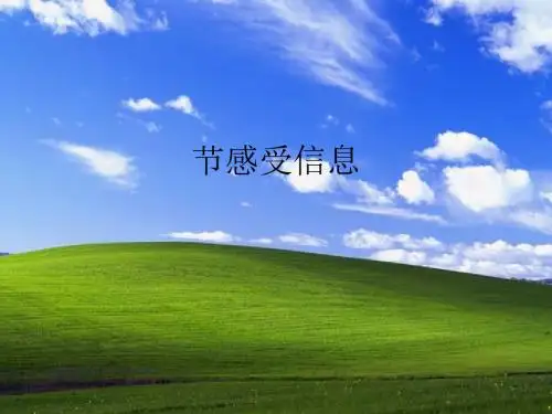 《感受信息》教学课件4 沪科版3