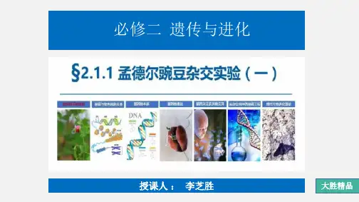 基因的分离定律复习(公开课)(1)