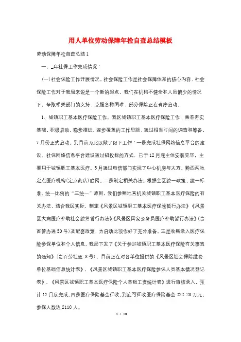用人单位劳动保障年检自查总结模板