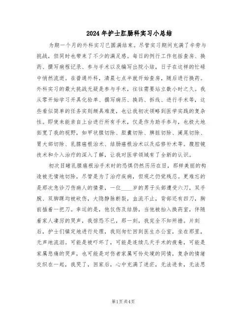 2024年护士肛肠科实习小总结（3篇）