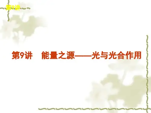 2012届高考生物一轮复习精品课件：第9讲 能量之源——光与光合作用