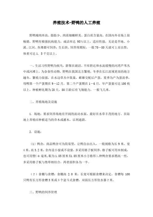 养殖技术-野鸭的人工养殖