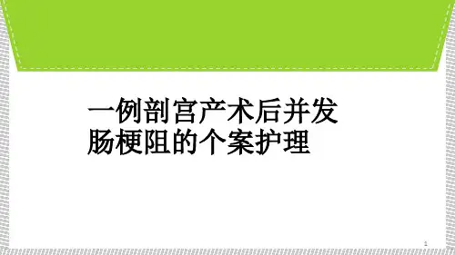 一例剖宫产术后并发肠梗阻个案护理【32页】