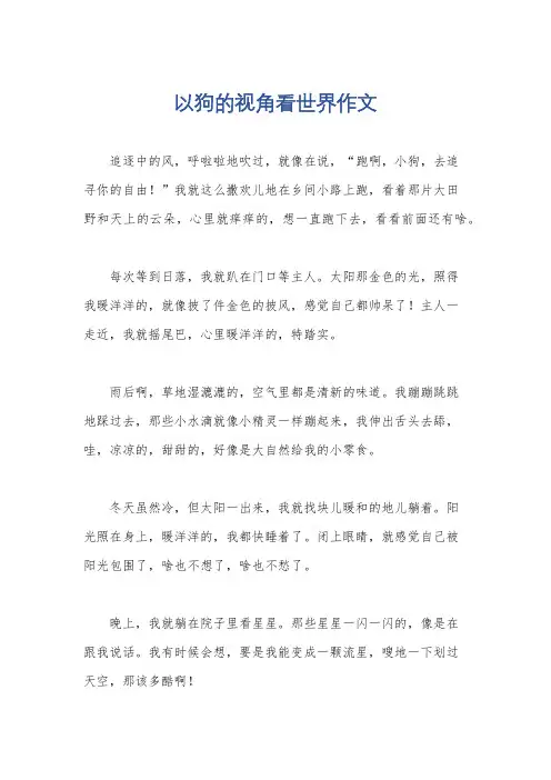 以狗的视角看世界作文