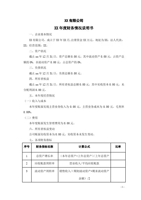 财务情况说明模板