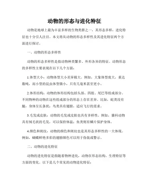 动物的形态与进化特征