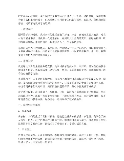大学生下乡感言