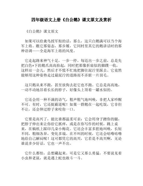 四年级语文上册《白公鹅》课文原文及赏析