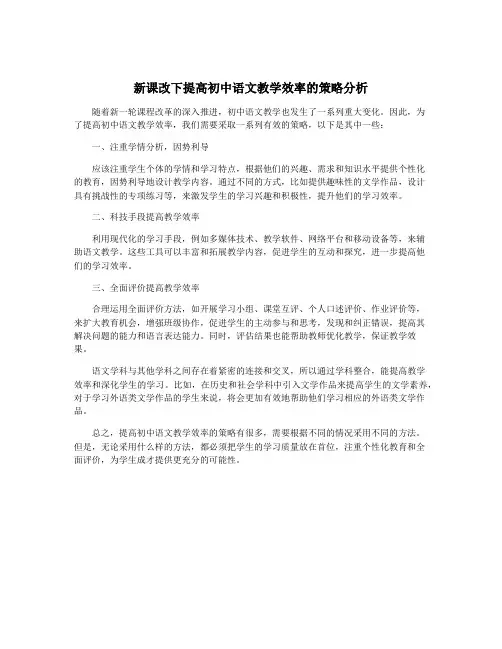 新课改下提高初中语文教学效率的策略分析