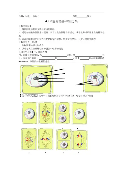 有丝分裂-导学案